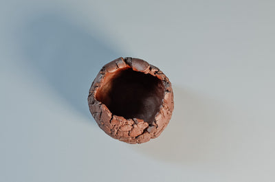 AestheticAccent™ Dark Brown Embossed Ceramic Vase