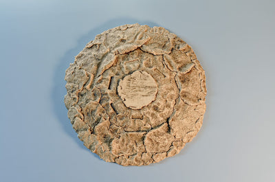 AestheticAccent™ Prehistoric Сeramic Plate